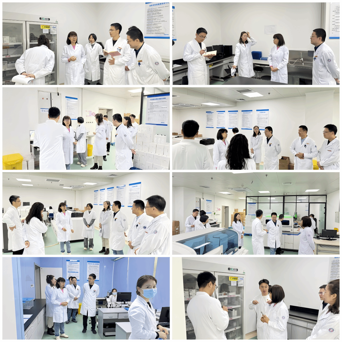 WPS拼图0.png WPS拼图0.png