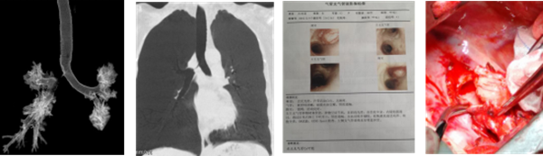 图片1_副本.png