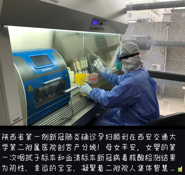 图五_副本.png