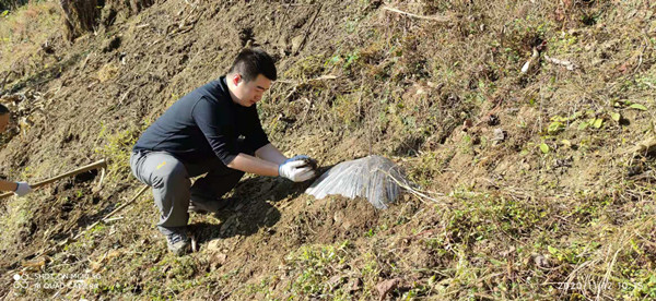 栽下花椒树奔向致富路2_副本.jpg