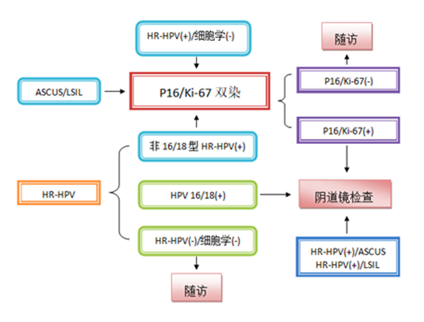 图片1_副本.png