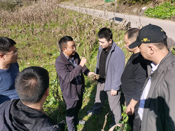 栽下花椒树奔向致富路9_副本.jpg